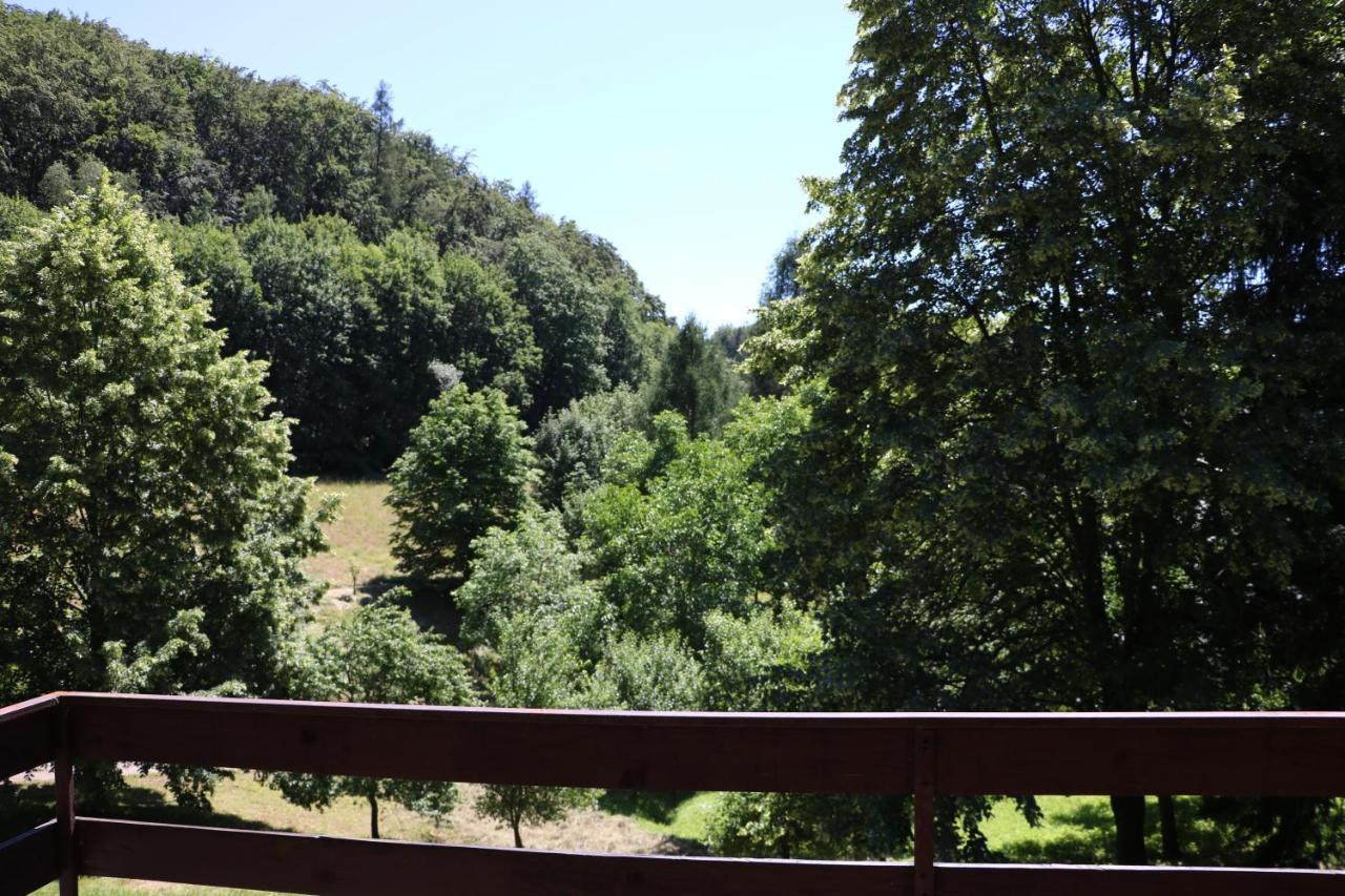 Chata Babeta Hrádeček u Trutnova Hertvíkovice Exterior foto